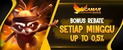 Rebate Mingguan VIP Slot 0.5% promotion